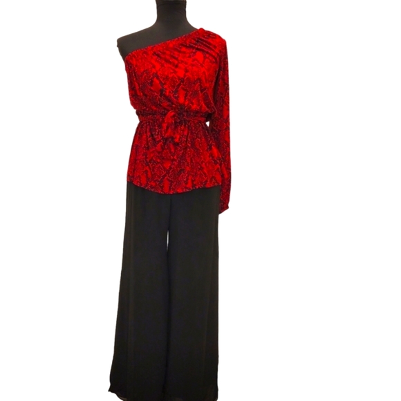 Dana Kay Sheer Palazzo Wide Leg Pants with Lining and Side Slits - Picture 12 of 12